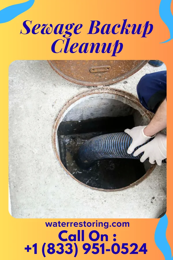 Sewage Backup Cleanup in Missouri Valley, IA